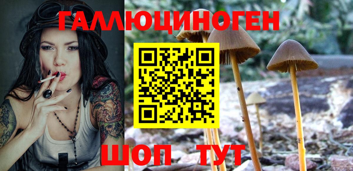 Галлюциногенные грибы GOLDEN TEACHER Конаково